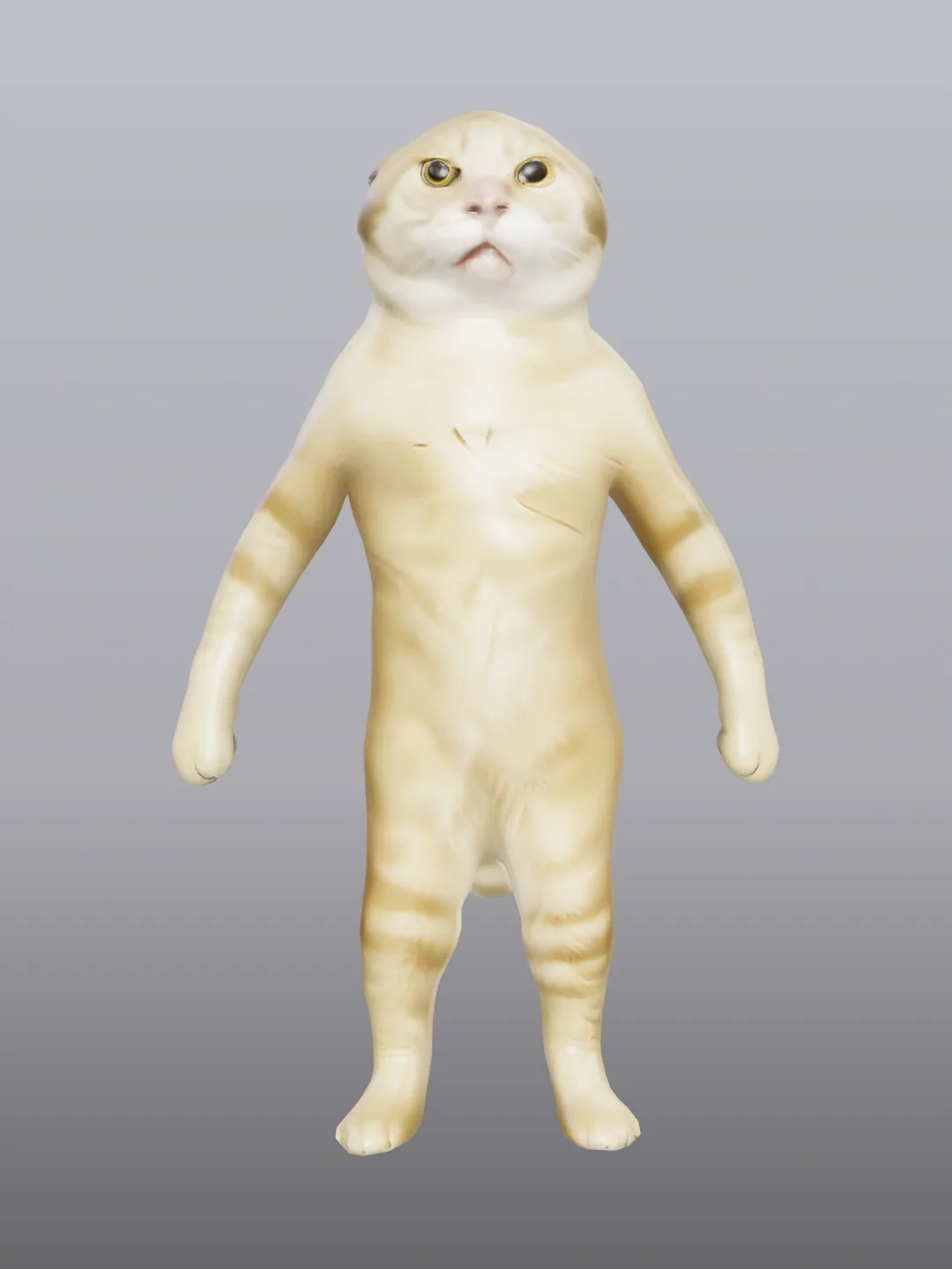 Catman Maodie 耄耋